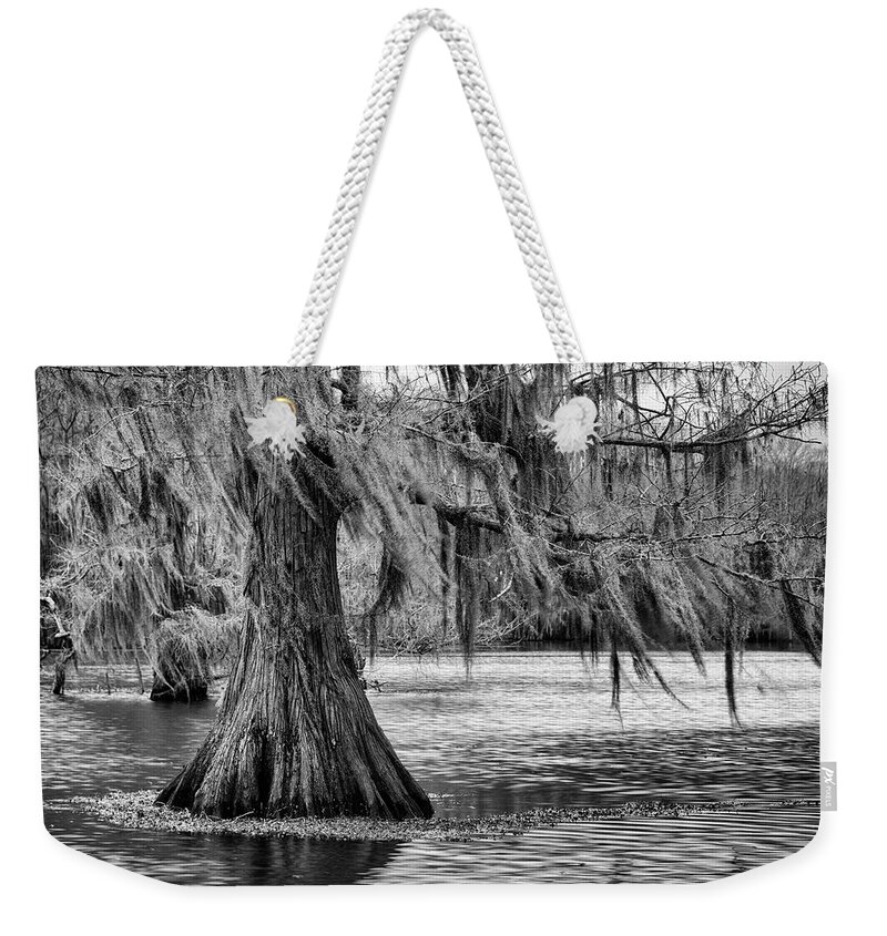 Cypress Weekender Tote Bag featuring the photograph Cypress at Caddo Lake by Mary Lee Dereske