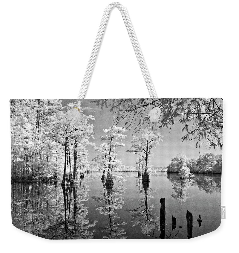 Cypress Weekender Tote Bag featuring the photograph Cypress in Walkers Mill Pond by Bob Decker