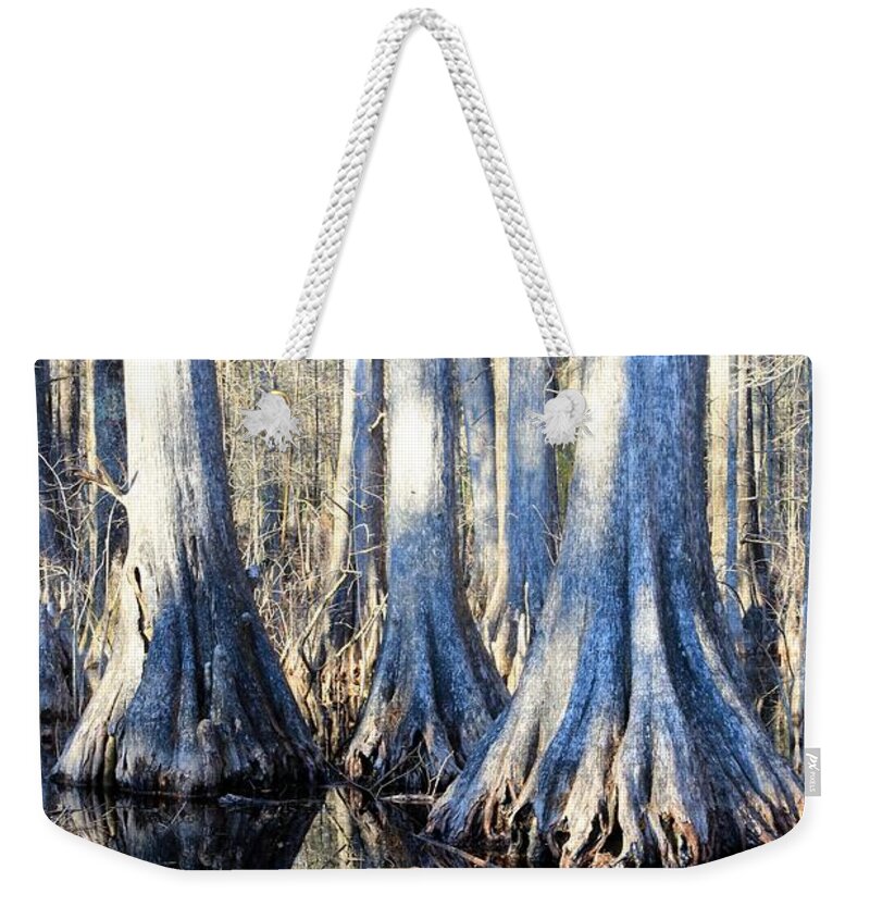 Swamp Weekender Tote Bag featuring the photograph Cypress Reflection by Carol Groenen