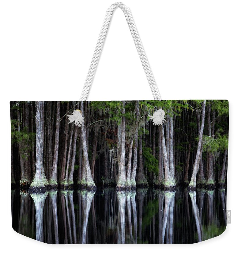 Abstract Weekender Tote Bag featuring the photograph Cypress Spine by Alex Mironyuk