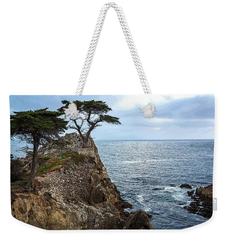 Cypress Weekender Tote Bag featuring the photograph Cypress Tree on the Point by Rick Strobaugh