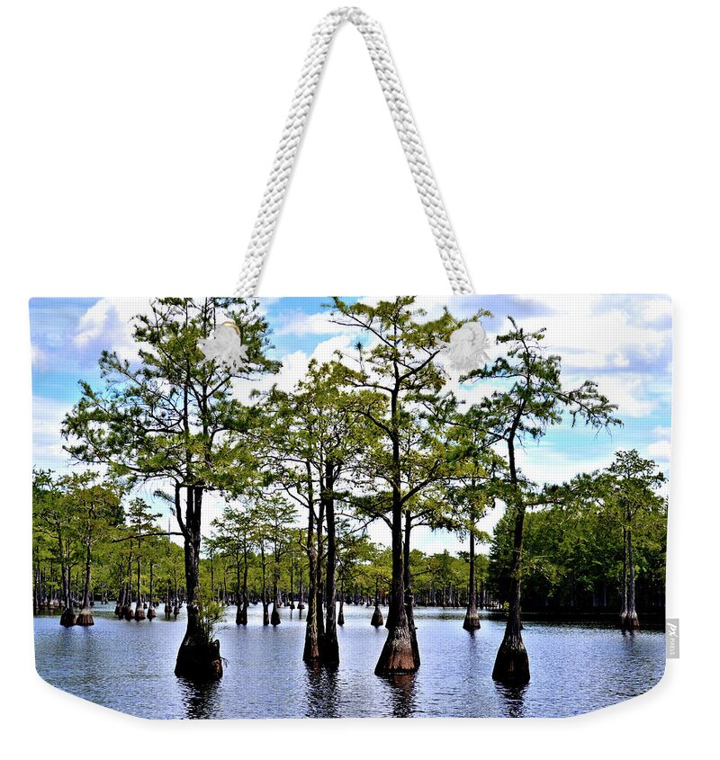 Cypress Trees Weekender Tote Bag featuring the photograph Cypress Trees of Georgia by Tara Potts