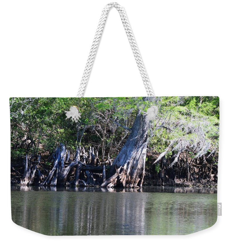 Cypress Waterscape - Light Weekender Tote Bag featuring the photograph Cypress Waterscape by Warren Thompson