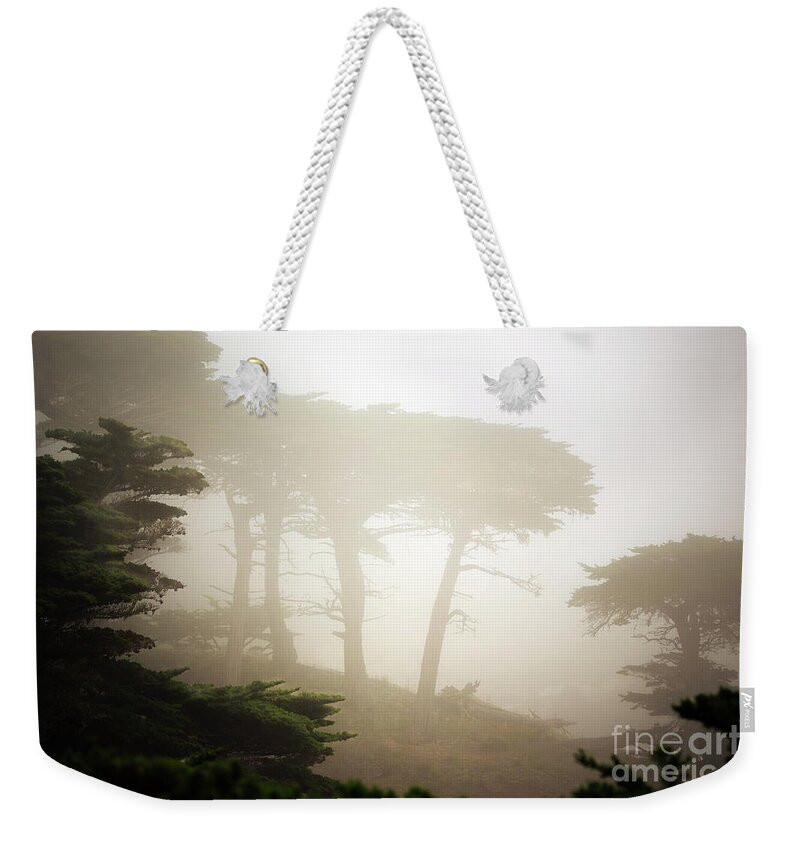 California Weekender Tote Bag featuring the photograph Cyprus Tree Grove in Fog by Craig J Satterlee