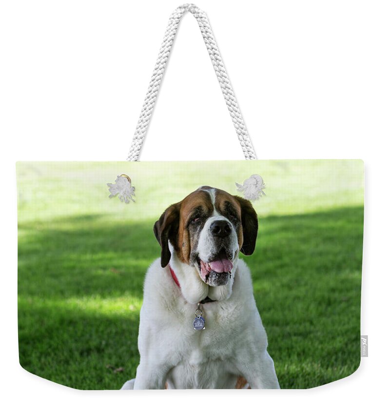  Weekender Tote Bag featuring the photograph D 13 by Rebecca Cozart