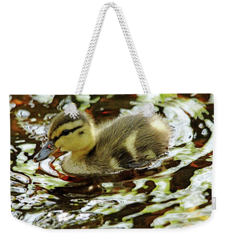 Duck Weekender Tote Bag featuring the photograph Dabbling Duckling by Debbie Oppermann