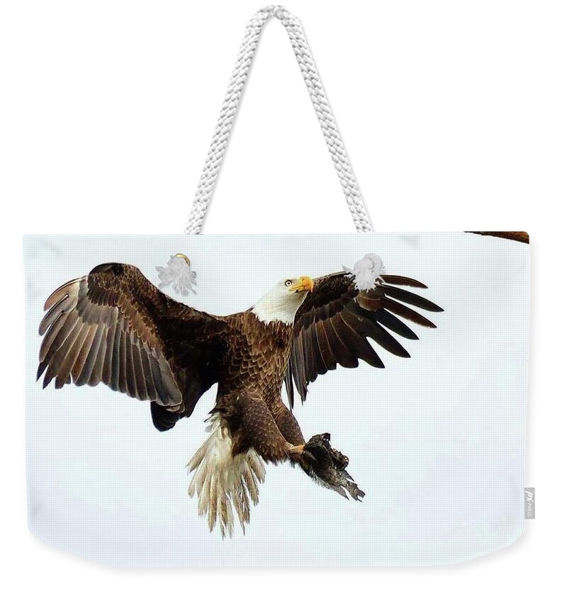 Bald Eagle Weekender Tote Bag featuring the photograph Dad provider by Liz Grindstaff