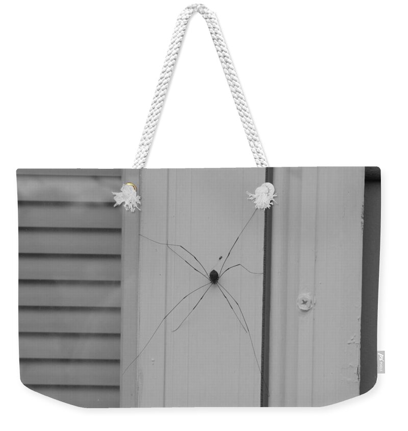 Spider Weekender Tote Bag featuring the photograph Daddy Long Legs in Black and White by Ali Baucom