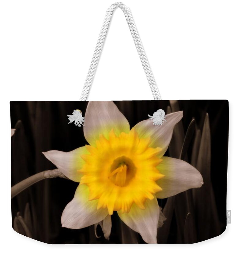 Daffodil Weekender Tote Bag featuring the photograph Daffodil by Lisa Wooten