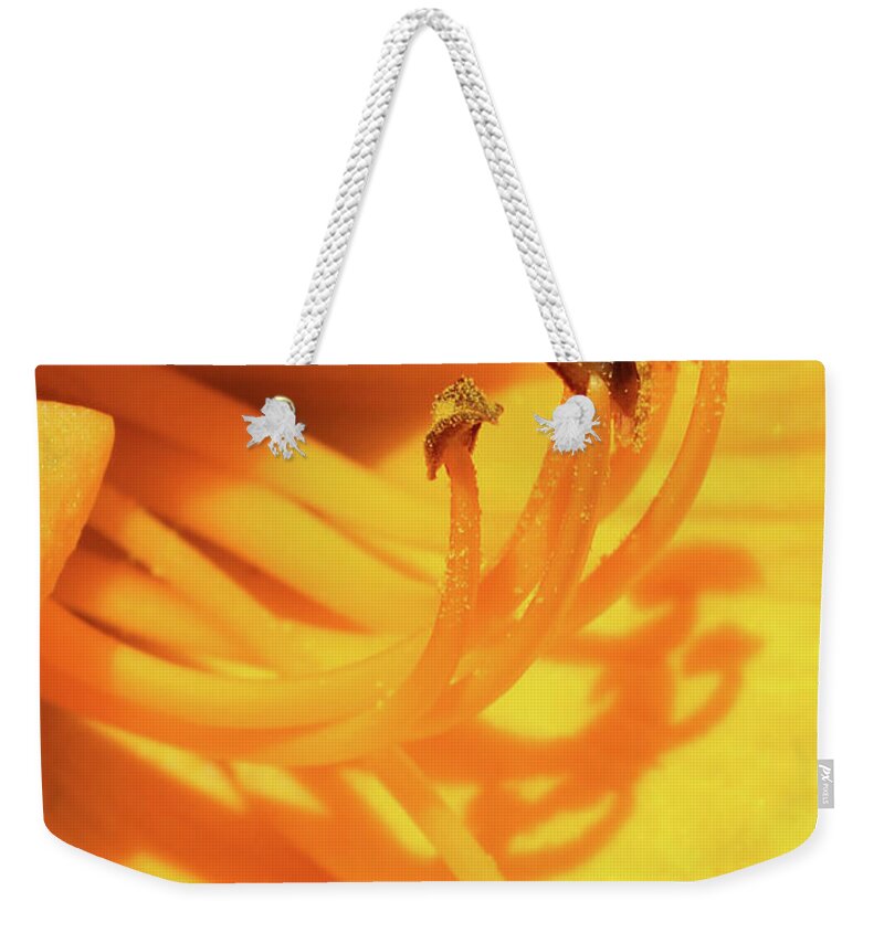 Daffodil Weekender Tote Bag featuring the photograph Daffodil - Peeping Tom 07 by Pamela Critchlow