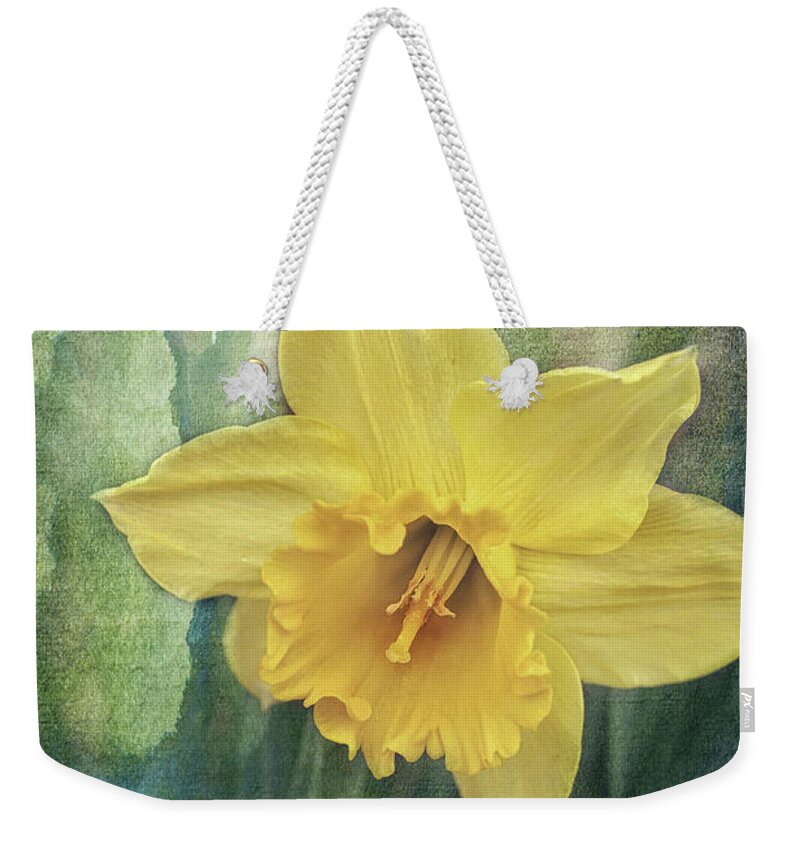 Daffodils In Bloom Print Weekender Tote Bag featuring the photograph Daffodils in Bloom by Gwen Gibson