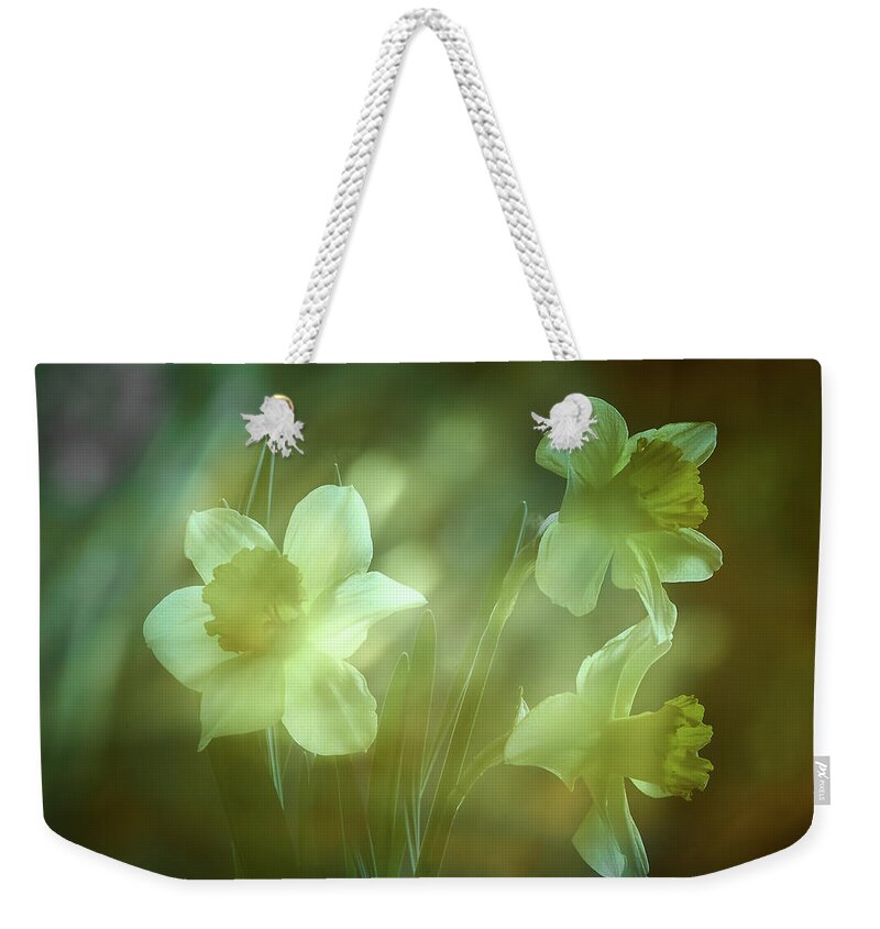 Daffodils Weekender Tote Bag featuring the photograph Daffodils1 by Loni Collins