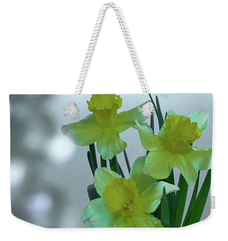 Daffodils Weekender Tote Bag featuring the photograph Daffodils3 by Loni Collins