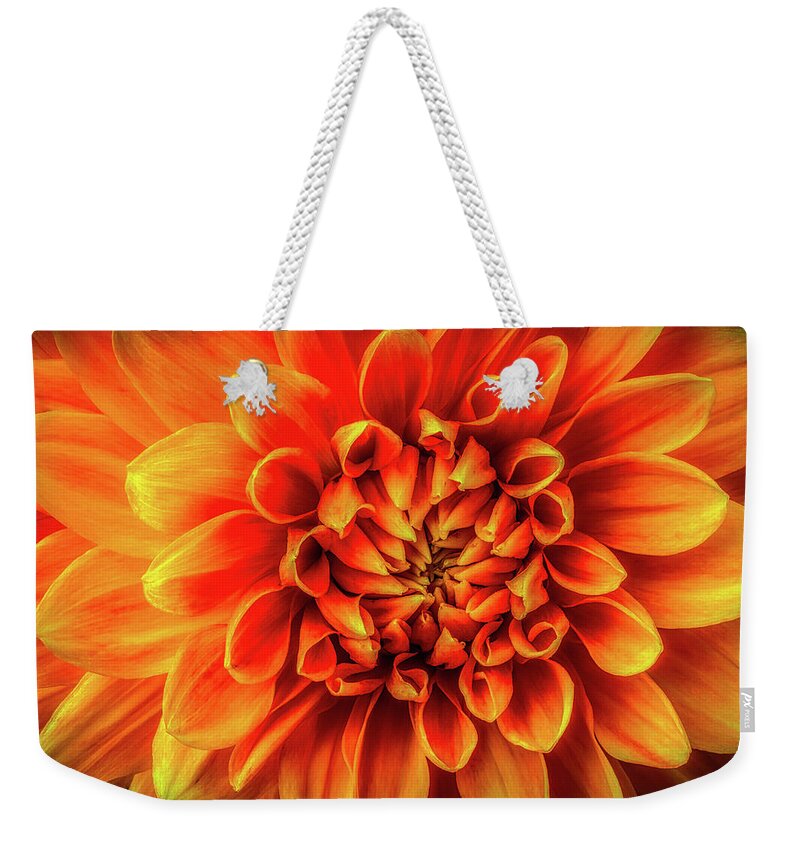 Color Weekender Tote Bag featuring the photograph Dahlia Detail by Garry Gay