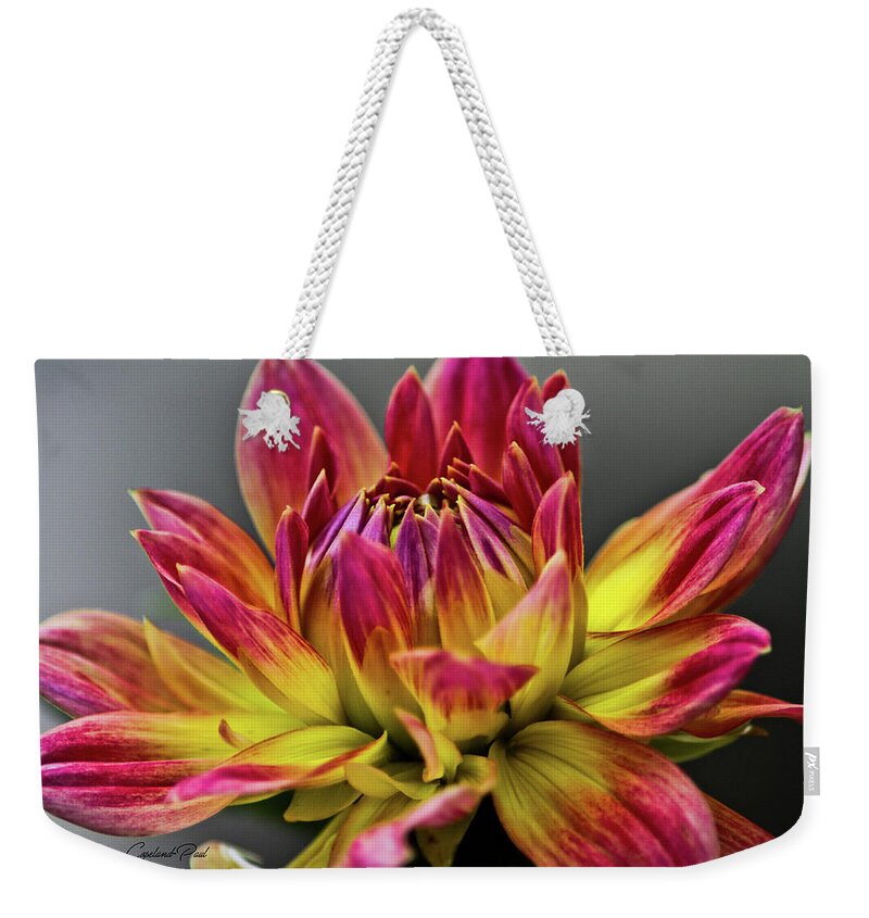 Flower Photographs Weekender Tote Bag featuring the photograph Dahlia Flame by Joann Copeland-Paul