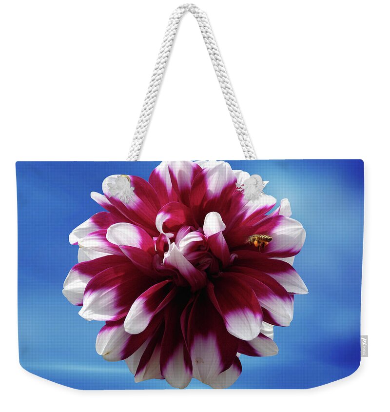 Dahlia Weekender Tote Bag featuring the photograph Dahlia Flower by Ridwan Photography