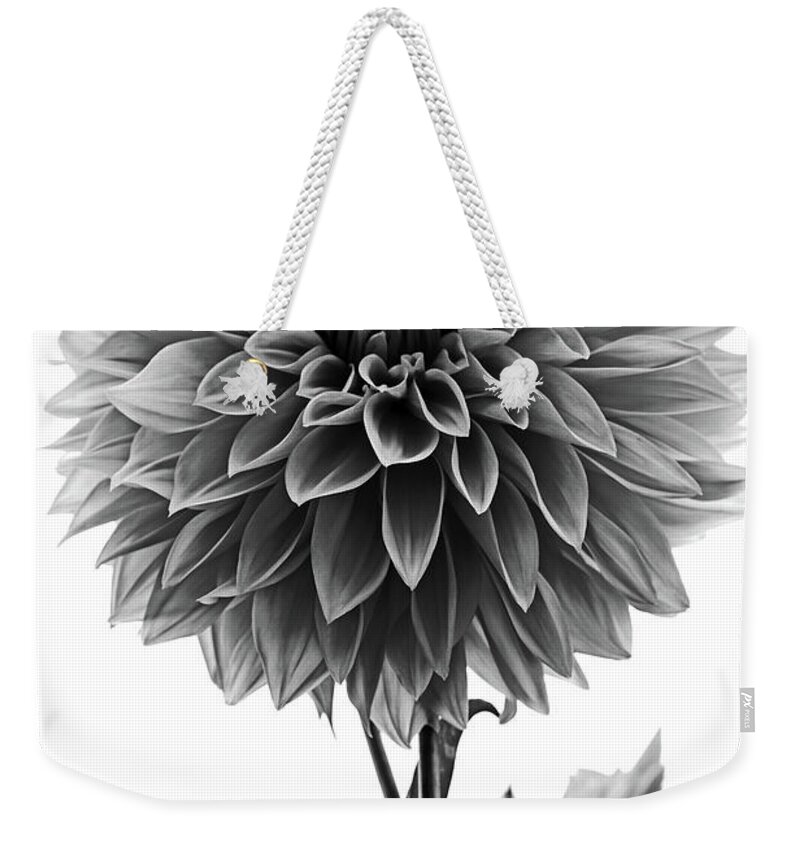 Dahlia Weekender Tote Bag featuring the photograph Dahlia In Black And White by Mark Alder