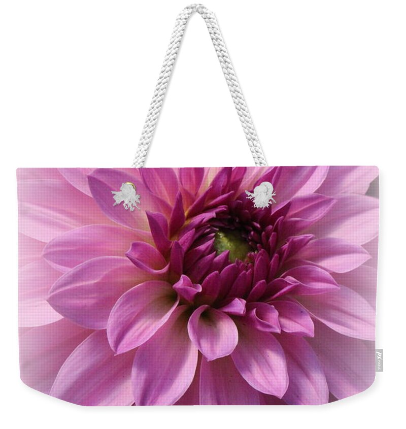 Dahlia Weekender Tote Bag featuring the photograph Dahlia Lovely in Lavender by Dora Sofia Caputo