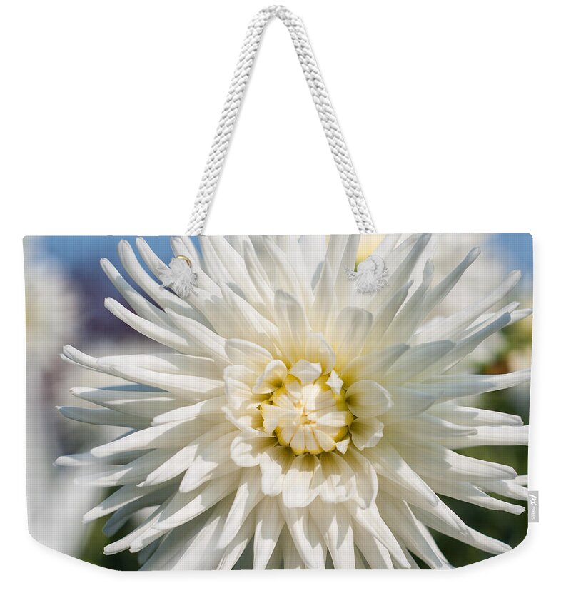 Wallart Weekender Tote Bag featuring the photograph Dahlia by Miguel Winterpacht