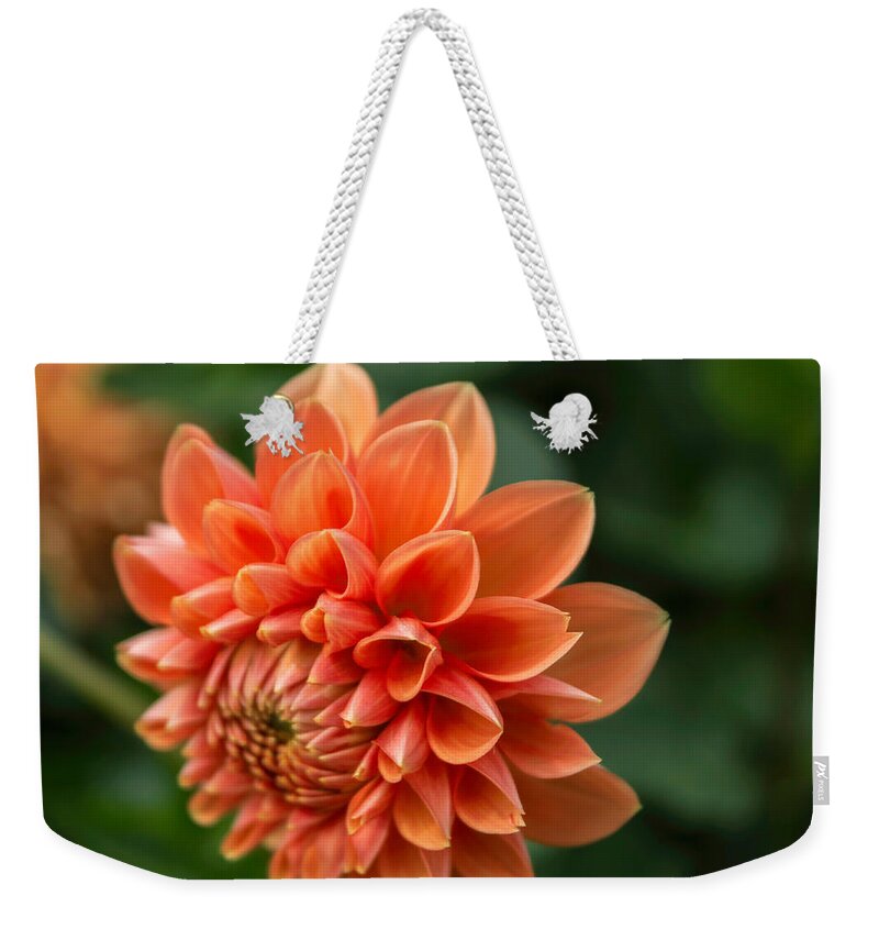 Florals Weekender Tote Bag featuring the photograph Dahlia Petals by Arlene Carmel