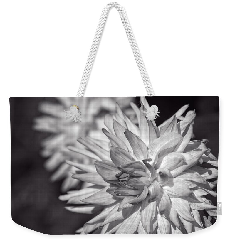 Dahlia Weekender Tote Bag featuring the photograph Dahlias by Miguel Winterpacht