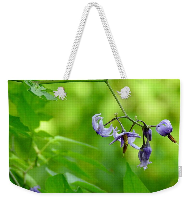 Nightshade Weekender Tote Bag featuring the photograph Dainty by Betty-Anne McDonald