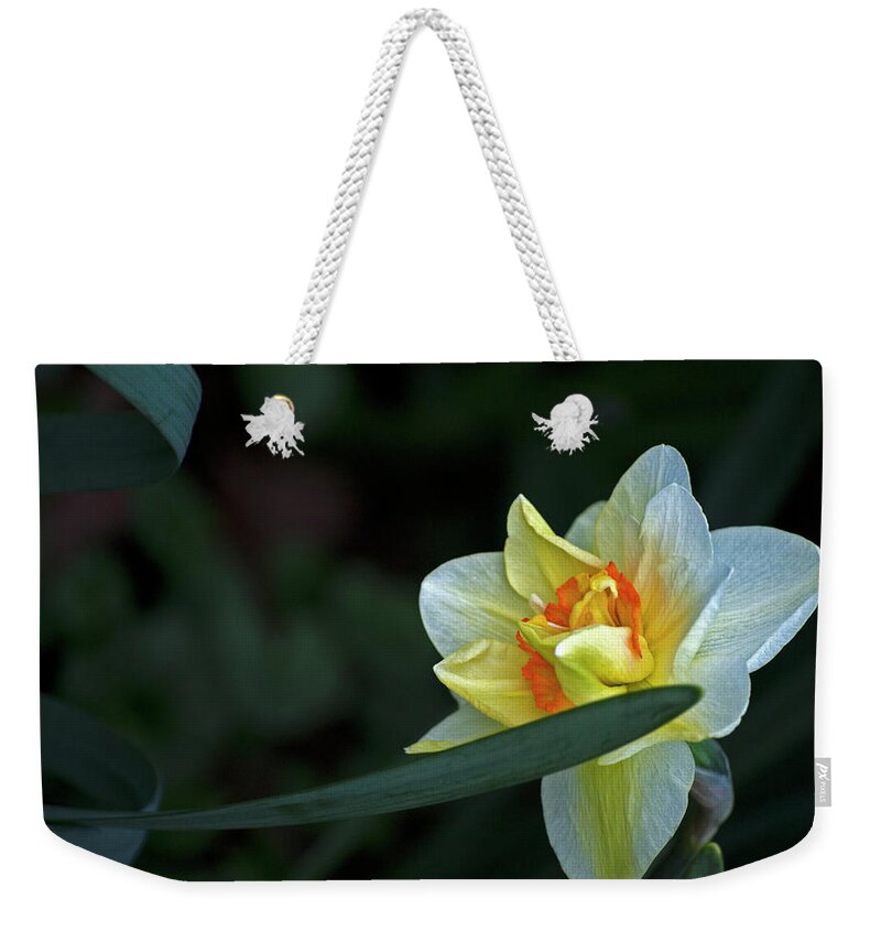 Daffodil Weekender Tote Bag featuring the photograph Dainty Daffodil by Elsa Santoro