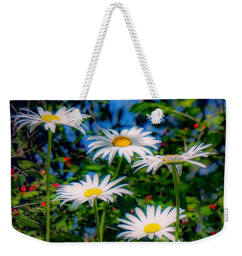  Weekender Tote Bag featuring the photograph Daisies and Friends by Kendall McKernon