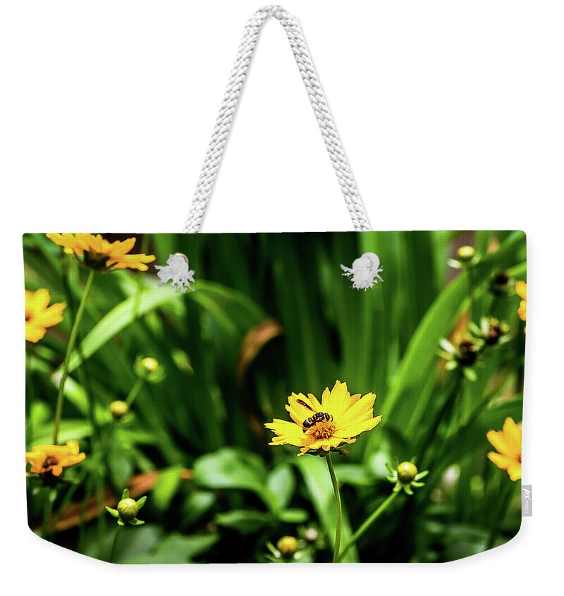 Flower Weekender Tote Bag featuring the digital art Daisies, Daisies, Daisies by Ed Stines