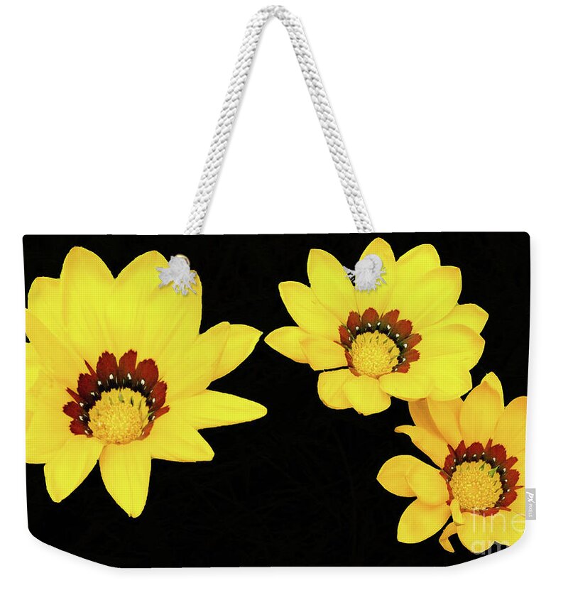 Yellow Weekender Tote Bag featuring the photograph Daisies IV by Cassandra Buckley