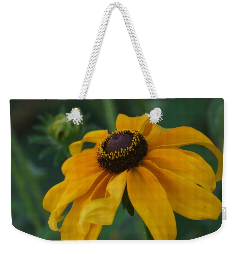 Bloom Weekender Tote Bag featuring the photograph Daisy 3 by Dimitry Papkov