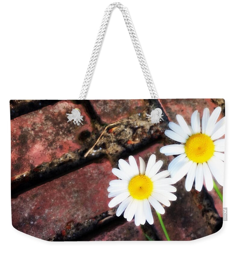 Daisy Weekender Tote Bag featuring the photograph Daisy and Brick by Pruddygurl Exclusives