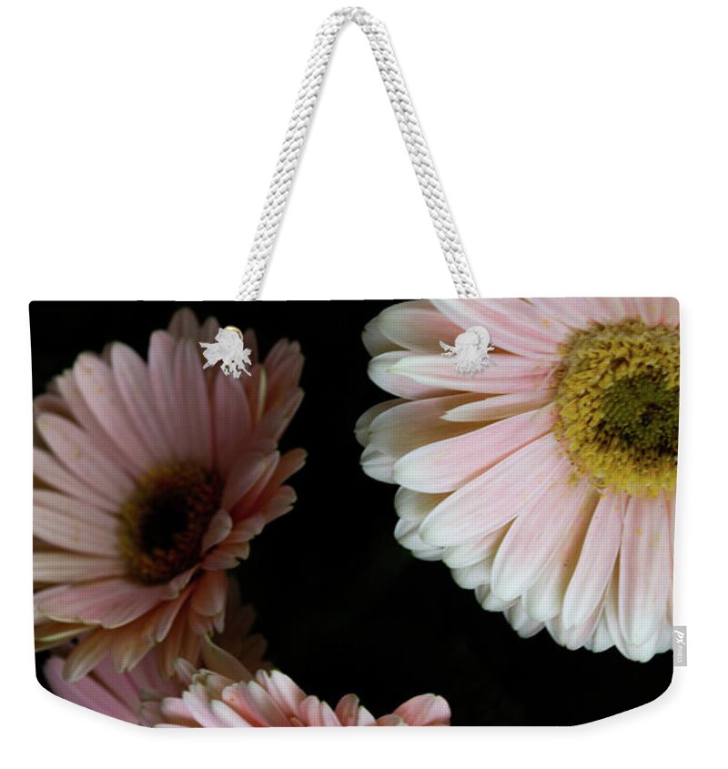 Daisy Weekender Tote Bag featuring the photograph Daisy Cluster by William Norton