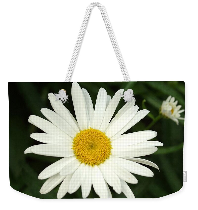 Daisy Weekender Tote Bag featuring the photograph Daisy Days by Carol Sweetwood