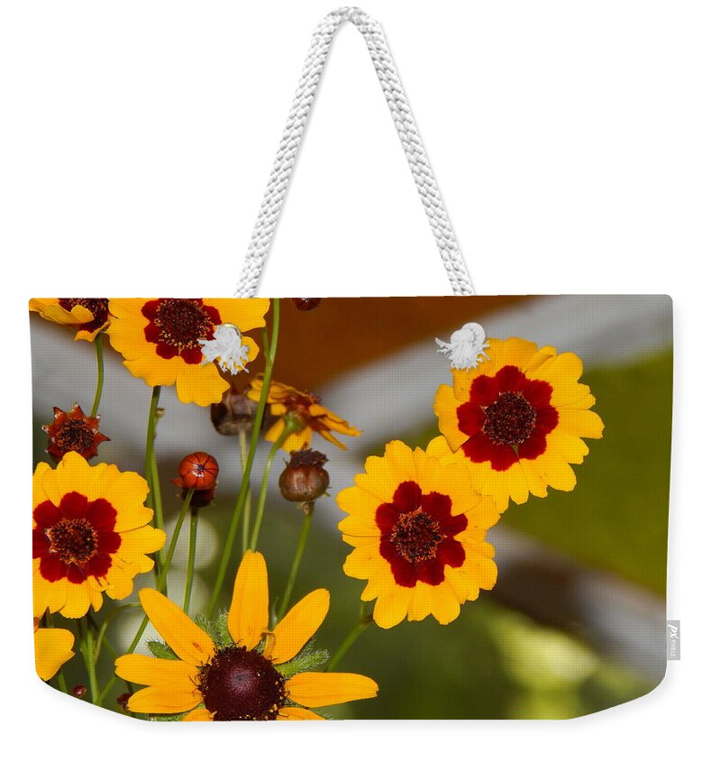Flower Flora Still-life Gardening Arrangements Yellow Brownish- Red Stain Glass Window Background Daisy Buds Bloom Green Leaves Orange And Green Stained Glass Nature Floral Photography By Jan Gelders Floral Decor Interior Design Accent Weekender Tote Bag featuring the photograph Daisy Delights by Jan Gelders