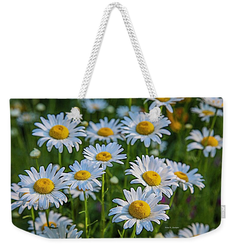 Daisy Weekender Tote Bag featuring the photograph Daisy Dew by Dale R Carlson