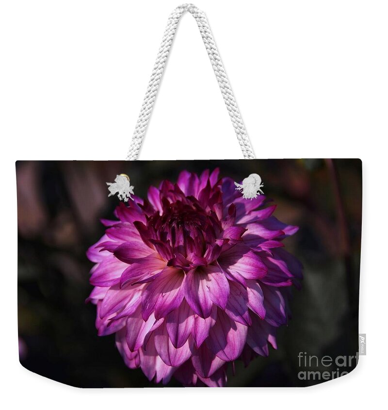 Flower Weekender Tote Bag featuring the photograph Dalhia by Elaine Manley
