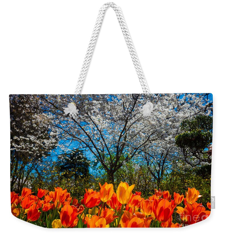 America Weekender Tote Bag featuring the photograph Dallas Arboretum Tulips and Cherries by Inge Johnsson