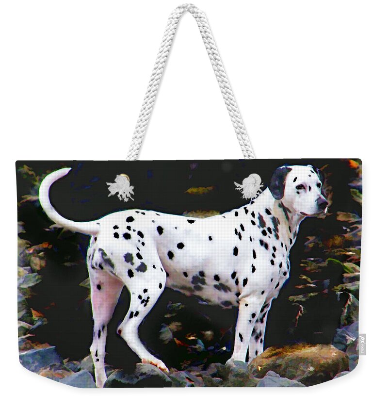 Dalmatian Weekender Tote Bag featuring the photograph Dalmatian on the Rocks by Wendy McKennon