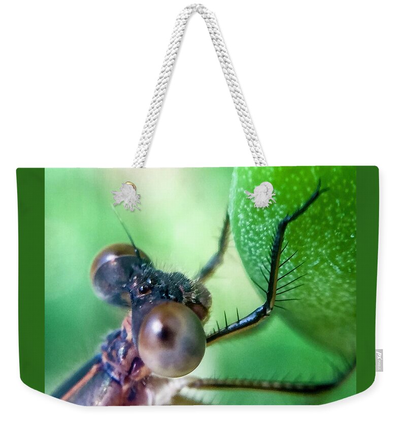 Insect Weekender Tote Bag featuring the photograph Damsel Fly by Terri Hart-Ellis
