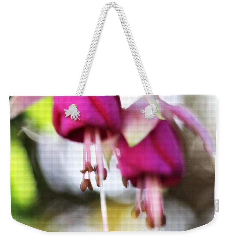 Fuchsia Weekender Tote Bag featuring the photograph Dance Of Angels by Tracey Lee Cassin