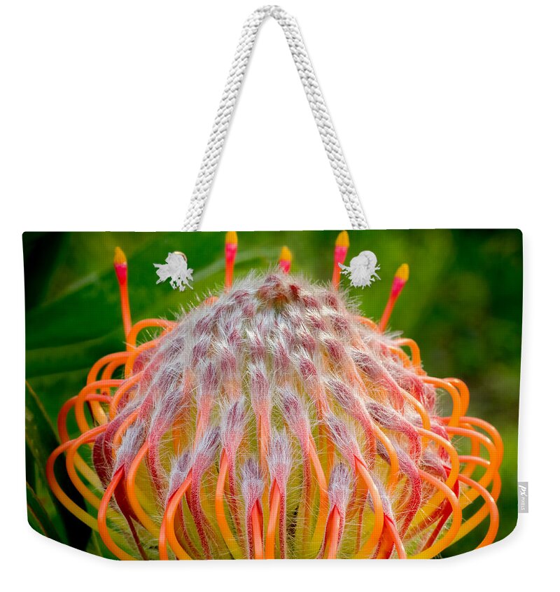 Flower Weekender Tote Bag featuring the photograph Dance of the Hydra by Derek Dean