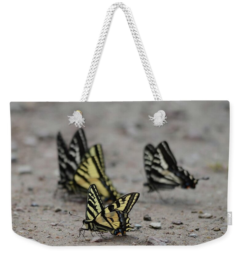Swallowtail Weekender Tote Bag featuring the photograph Dance of the Swallowtail by Whispering Peaks Photography