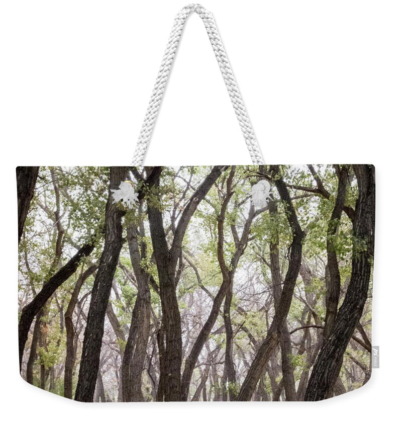 Landscapes Weekender Tote Bag featuring the photograph Dance of the Trees by Mary Lee Dereske