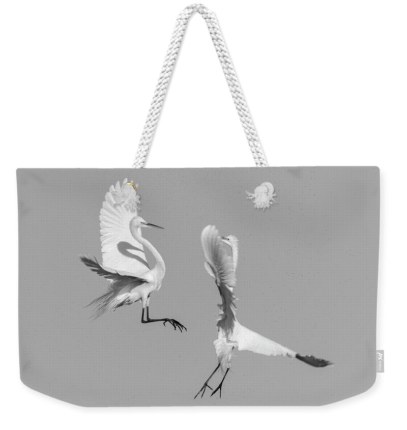 Great Egrets Weekender Tote Bag featuring the photograph Dancing Egrets 2017-3 by Thomas Young