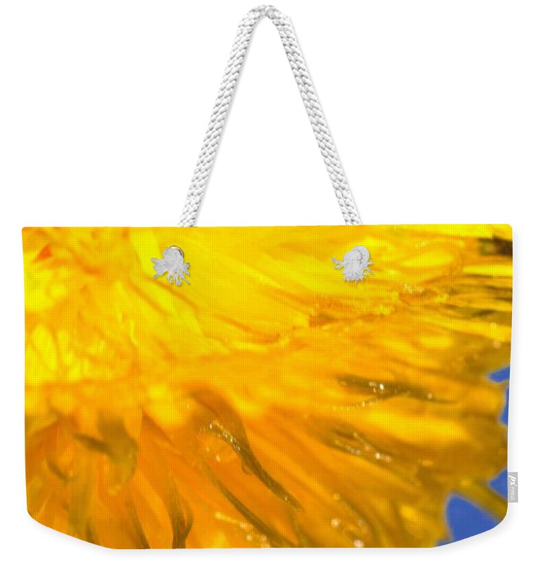 Dandelion Weekender Tote Bag featuring the photograph Dande 2 by Noah Cole