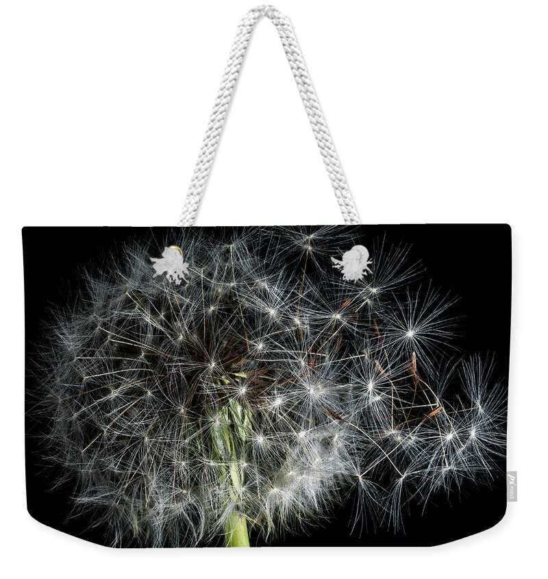 America Weekender Tote Bag featuring the photograph Dandelion 2 by James Sage