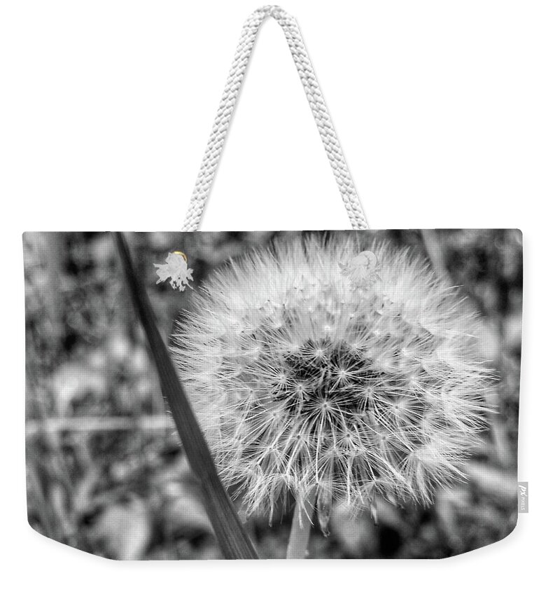 Weed Weekender Tote Bag featuring the photograph Dandelion by Al Harden