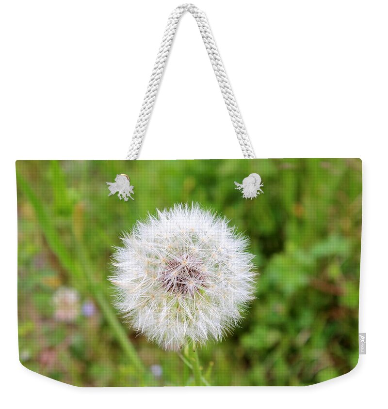 Dandelion Weekender Tote Bag featuring the photograph Dandelion by Beth Vincent