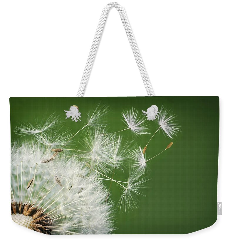 Abstract Weekender Tote Bag featuring the photograph Dandelion blowing by Bess Hamiti
